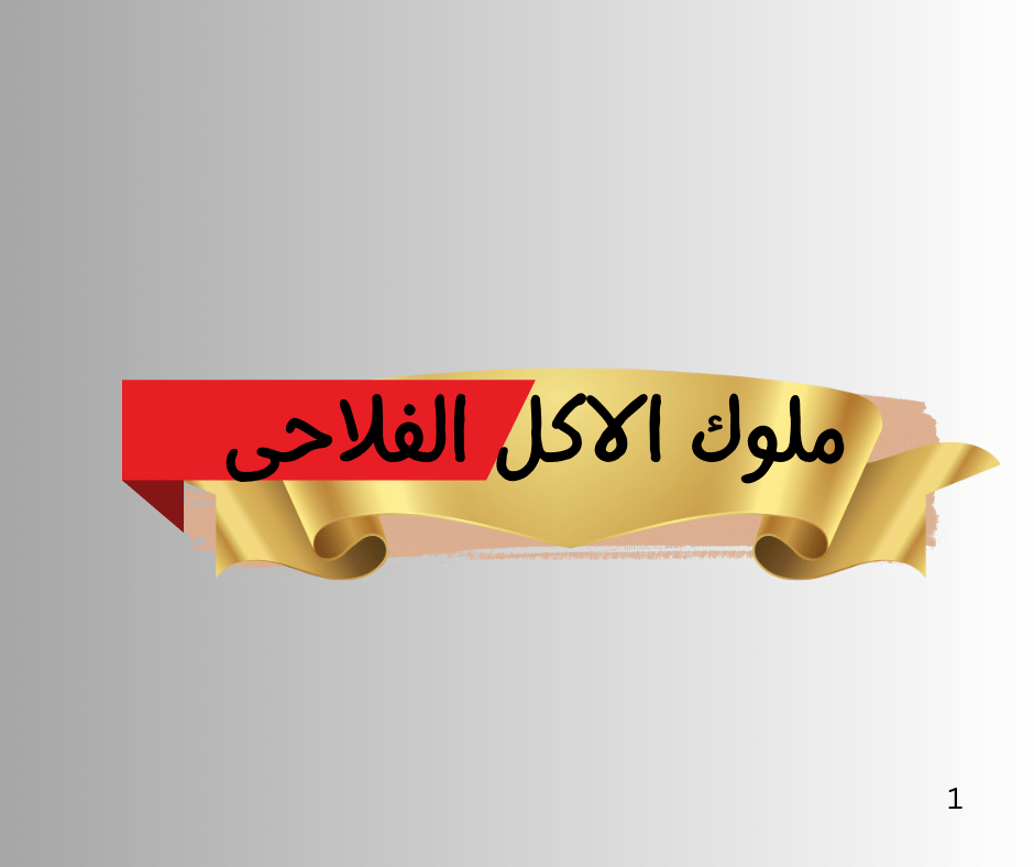 مطبخ ملوك الاكل الفلاحى اكل بيتى